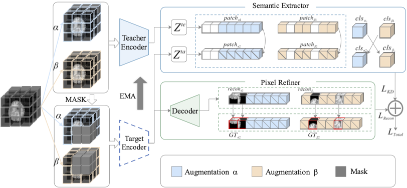 IPM: An Intelligent Component for 3D Brain Tumor Segmentation Integrating Semantic Extractor and Pixel Refiner