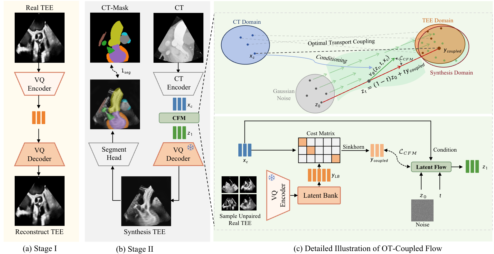 OT-Coupled Flow: Towards Realistic TEE Simulation via Unpaired Cross-Modality Translation with Anatomical Consistency